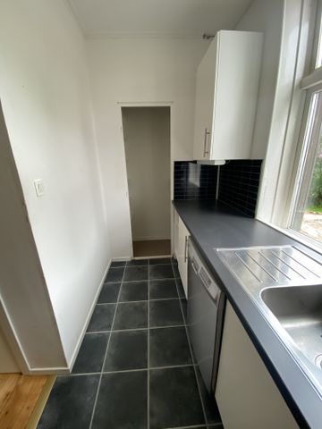 Gamla Domsjövägen - Photo 5