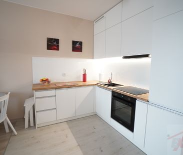 2 POKOJE Z OGRÓDKIEM- GUMIEŃCE (393647) - Photo 1