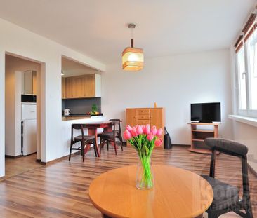 Przytulna kawalerka przy Parku Kasprowicza - Photo 4