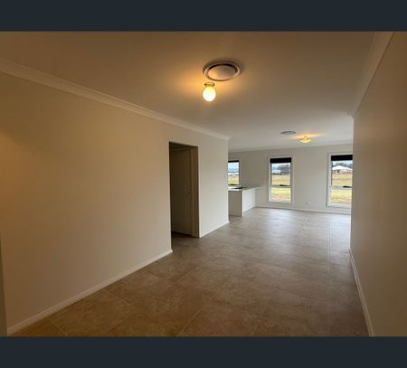 14 Leyland Cct, Lochinvar, NSW 2321 - Photo 4