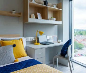 Classic Studio - Photo 6