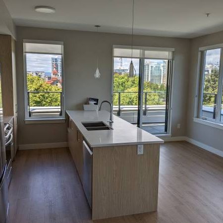 Beacon on the Park- Beautiful Penthouse! 2 Bedroom, 2 Bathroom $4290 - Photo 3