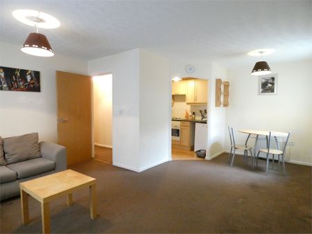 Paisley Park - Photo 2