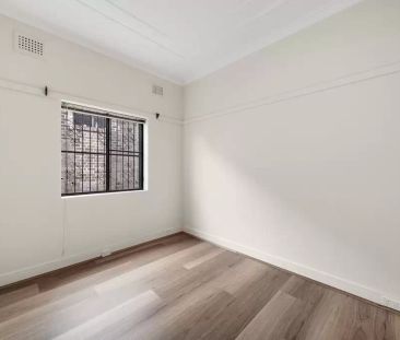 Freshly Updated Family Home in a Prime Hurlstone Park Location - Photo 3