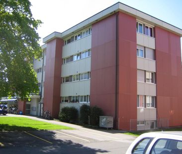 2.5 Zimmer, 61 m², EG - Photo 3