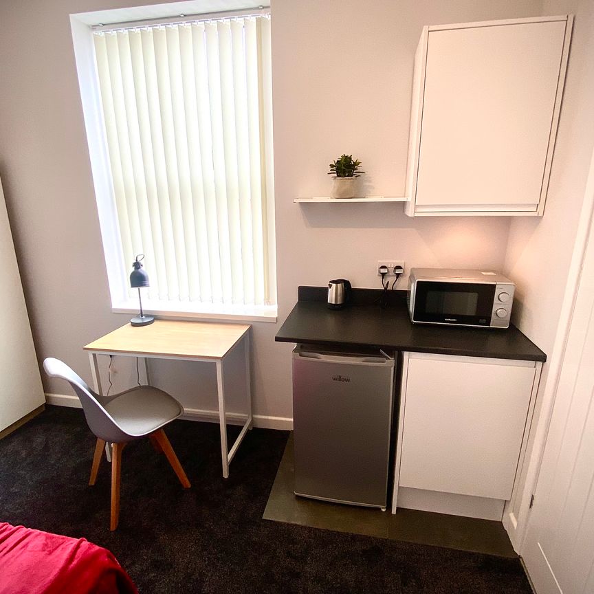 Newly Renovated Studio style en-suite rooms - Photo 1