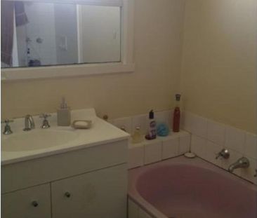 Great Family Home - Photo 2