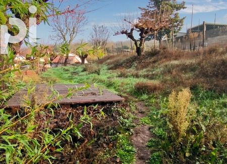 Appartement à louer 2 pièces • Saint-Paul-le-Jeune - Photo 2
