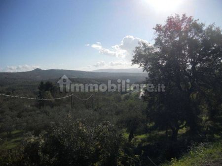 Monolocale via della repubblica, Centro, Panicale - Photo 2