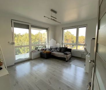 Widok na las, duży balkon, winda - Zdjęcie 3