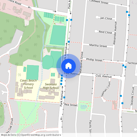 117 Park Avenue, NSW 2281, Caves Beach