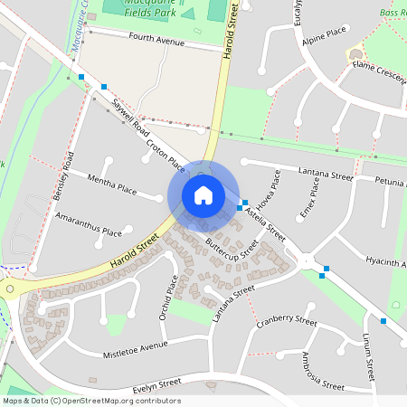 1/8 Astelia Street, NSW 2564, Macquarie Fields