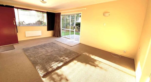 Sunny, Central and Spacious! - Photo 1