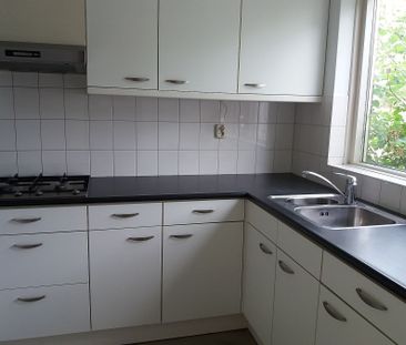 Salderes 194 - Foto 2