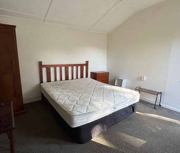 Large bedroom with kitchen in Mt Vic - Photo 2