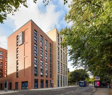 Ensuite Standard - Photo 4