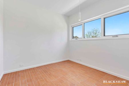 Architecturally Designed Family Haven in the Heart of Mawson - Photo 4