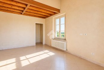 5 locali in affitto