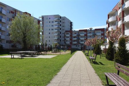 Elbląski, Elbląg, Nad Jarem, Legionów - Фото 2