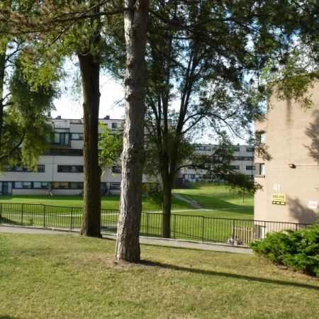 Northwood Village - Photo 3