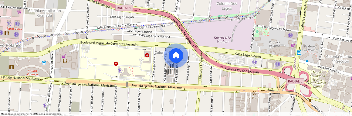 Lago Bangueolo 21, Granada, Miguel Hidalgo, 11520 Ciudad de México, CDMX #21, Colonia Granada, C.P. 11520, Df / Cdmx