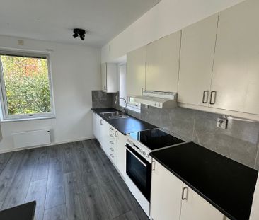 Vänga lyckor, Fristad - Foto 2