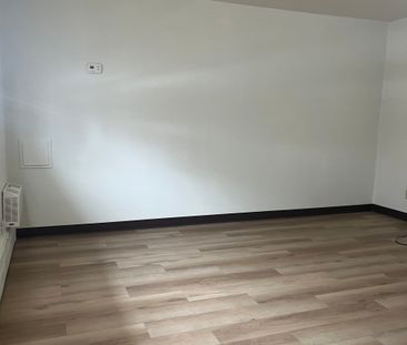 1 BDRM/1 BATH - 409 4TH AVE N - Available NOW *RENT SPECIAL* - Photo 5