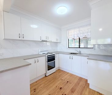 Ray White Real Estate Parkes - Photo 5