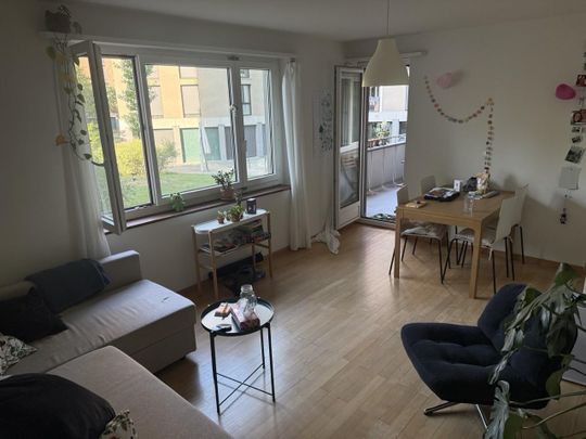 Charmante 3.0-Zimmerwohnung am Letzigraben in Zürich - Foto 1