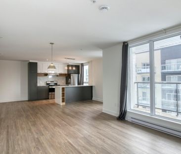 9675 Av. Papineau, app.402, H2B 3C8, H2B 3C8, Montréal - Photo 1