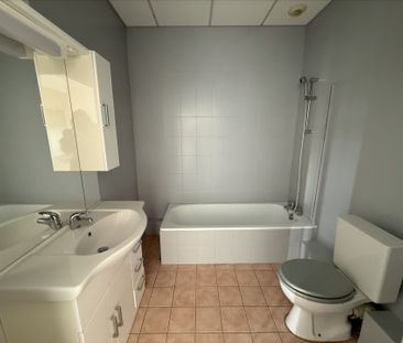 Location Appartement 1 pièce 36m² - Photo 4