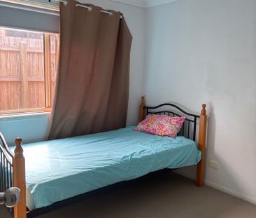 Forest Lake - Photo 2