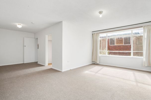 3/41 Frenchs Road, Willoughby NSW 2068 - Apartment For Rent | Domain - Photo 1