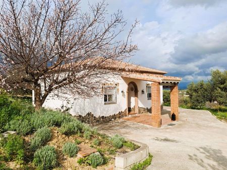 Alquiler de casa o chalet independiente en Camino el Grijo - Photo 4