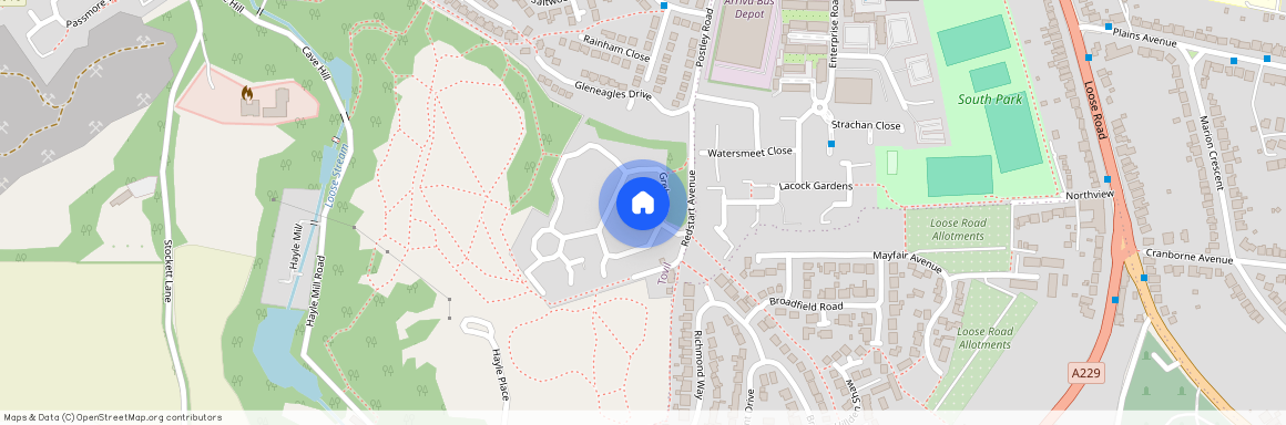 Gosling Walk, Maidstone, ME15