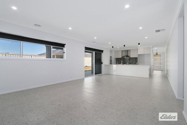 Brand new living! - Photo 1