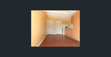FABULOUS 1BR GRANNY FLAT - Photo 3