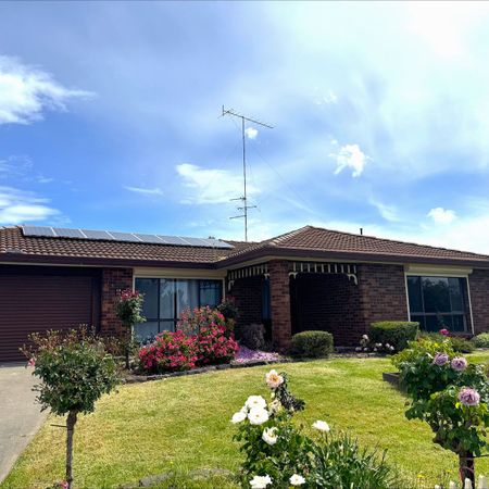 Four Bedrooms on Glenview - Photo 4