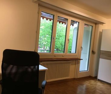 Simon #3 - Experience 60's Charm in Zürich's Green Oasis - Foto 4