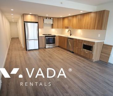 Unfurnished, Pet Friendly, 1 Bed 1 Bath Apartment For Rent - Photo 3