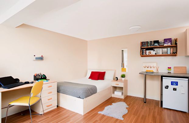 Studio-Gold - Photo 1