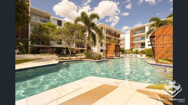 Available 19 December - Photo 1