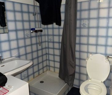 Location Appartement 1 pièce 19m² - Photo 4