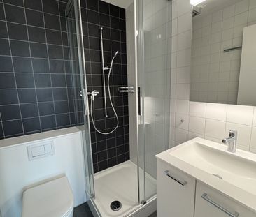 41/2-ROOM APARTMENT IN BERN – BREITENRAIN, FURNISHED, TEMPORARY - Photo 6