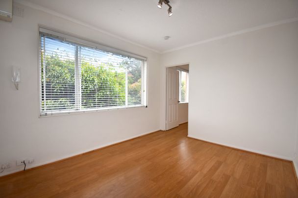 11/185 King Street, Mascot NSW 2020 - Apartment For Rent | Domain - Photo 1