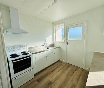 Newly renovated 1 bedroom home - Photo 4