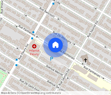 Grand Demi sous-sol Ahuntsic. - Photo 1