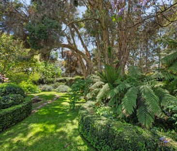 17 Woodgate Street, Farrer ACT 2607 - House For Rent | Domain - Photo 4