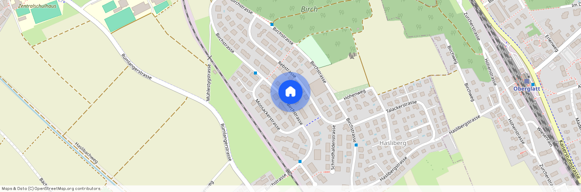 Birchstrasse 159, 8156 Oberhasli, Lageplan
