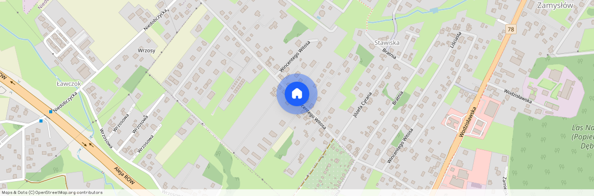 ul. Wincentego Witosa, Zamysłów, Rybnik, śląskie